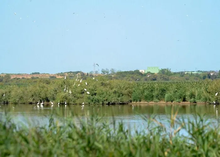 Maison Renovee A * Marseillan (Herault)